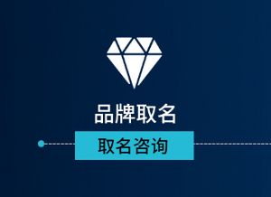 網絡科技與電子商務 變革時代的雙引擎