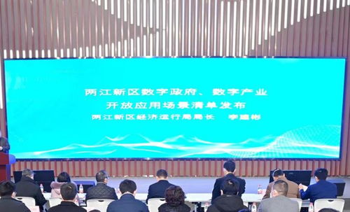 廣域銘島榮登重慶兩江新區軟件和信息服務業企業能力清單，彰顯區域信息咨詢新動能